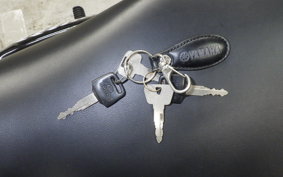 YAMAHA SRV250 RENAISSA S 2023 4DN