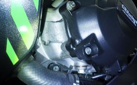 KAWASAKI ZX 10 NINJA R SE 2019