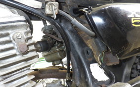 HONDA XE50 1984 CE50