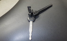 HONDA FAZE 2021 MF11