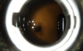 HONDA C90 SUPER CUB E 2022 HA02