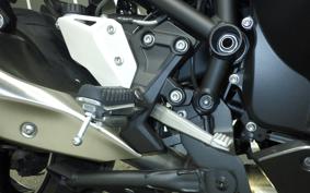 KAWASAKI NINJA H2 SX SE 2024 ZXT02P