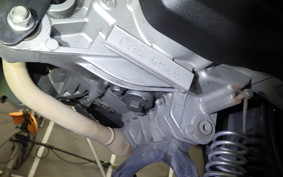 YAMAHA CYGNUSｸﾞﾘﾌｧｽ