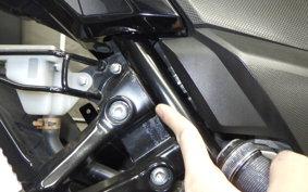SUZUKI Vｽﾄﾛｰﾑ250A 2011