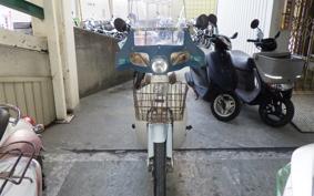 HONDA LITTLE CUB E AA01