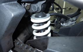 KAWASAKI Z250 SL 2016 BR250E