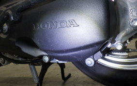 HONDA GIORNO 3 AF77