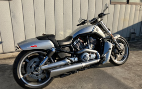 HARLEY  HARLEY VRSCF 2009 HPH