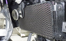 SUZUKI Vｽﾄﾛｰﾑ250A 2022