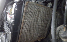 KAWASAKI ZZ-R250 EX250H