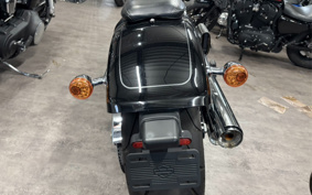 HARLEY FLFBS 2021 YGK