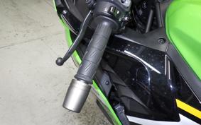 KAWASAKI ZX-4RR 2025 ZX400P