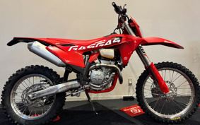 GASGAS EC 250 F