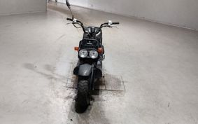 HONDA ZUMAR AF58