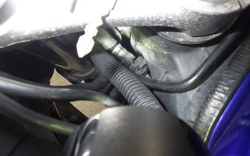 HONDA CBR1100XX 2006