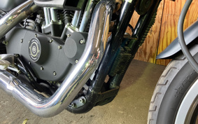 HARLEY XL883R 2007 CS2