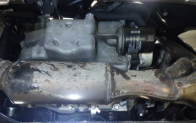 KAWASAKI NINJA 1000 SX 2021 ZXT02K