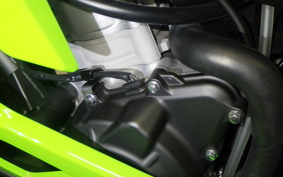 KAWASAKI ZX-4RR 2025 ZX400P