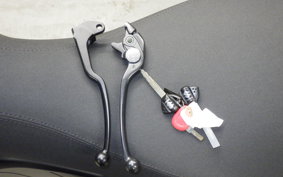 SUZUKI Vストローム800 2024 EM1BA