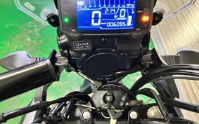 SUZUKI STROM 250ABS DS11A