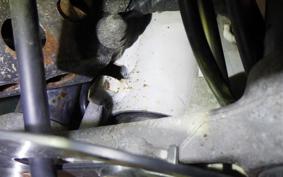 HONDA AX-1 2010 MD21