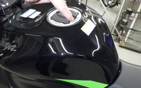 KAWASAKI NINJA ZX-6R A 2025 ZX636J