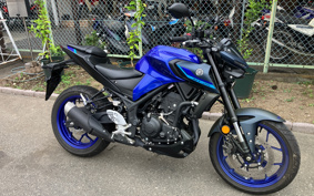 YAMAHA MT-25 RG74J