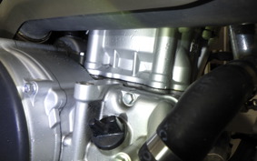 YAMAHA WR250R 2023 DG15J