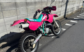 KAWASAKI KDX250SR DX250F