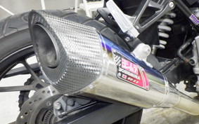 SUZUKI GSX250 R