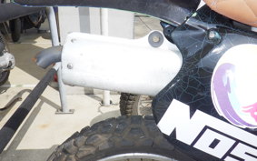 KAWASAKI KDX250SR DX250F