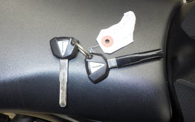 KAWASAKI ZX-4R SE 2024 ZX400P