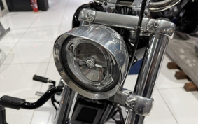 HARLEY FXST1340-1450 2022 BVJ