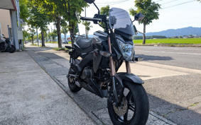 KAWASAKI Z125 PRO BR125H