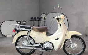 HONDA SUPER CUB110 JA44