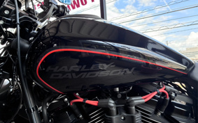 HARLEY FXDR114 2019 YVK