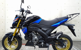 KAWASAKI Z125 PRO BR125H