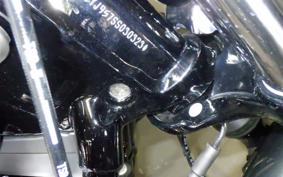 HARLEY FXBB1920 2026