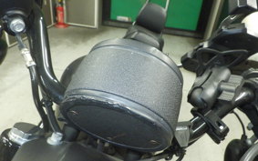 HARLEY XL883N 2014