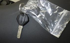 DUCATI STREETFIGHTER V2 2024