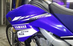 YAMAHA WR250R DG15J