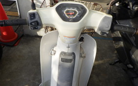 HONDA C110 SUPER CUB 2010 JA10