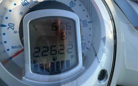 OTHER PU GEORGE YANGO125ABS