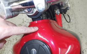 KAWASAKI SUPER SHERPA KL250G