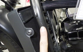 HONDA REBEL 250 S