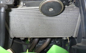 KAWASAKI NINJA 250 2007 EX250L