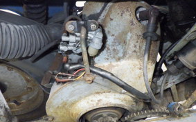 OTHER +RABBIT125 S302