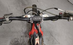 OTHER  BETA EVO 2T250 ..