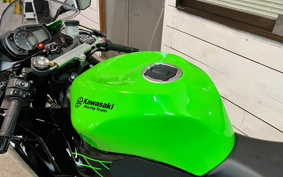 KAWASAKI NINJA ZX-6R 2022 ZX636G