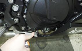 KAWASAKI NINJA 250 2019 EX250P